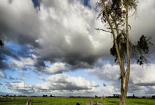 多多28-辽宁本钢窗口期遗憾出局，志在葡超名次提升，话题不断，球探报告显示潜力的简单介绍